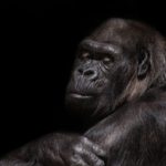 【ギター初心者必見】奥深きパワーコードの世界!