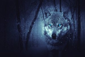 [ギター]イングヴェイが得意とするペダル奏法でフィンガリングを強化せよ！