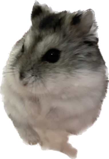 今年の夏に 今年の夏に